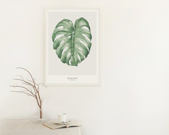 White Frame Mockup Frame Poster Mockup Frame Mock
