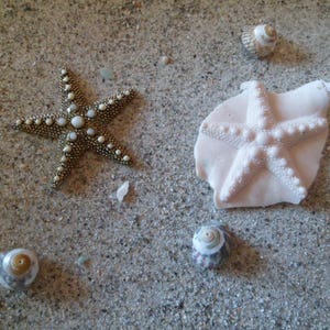 starfish silicone mold for fimo wepam clay