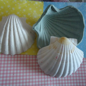 Può includere: Tre conchiglie, una bianca, una azzurra e una bianca con una sfumatura gialla, sono disposte su una superficie a scacchi rosa e bianca. Le conchiglie sono di dimensioni e forme diverse.