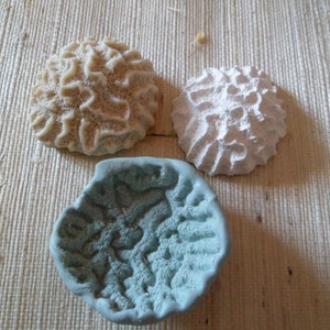 fossilized coral silicone mold exact reproduction for fimo wepam