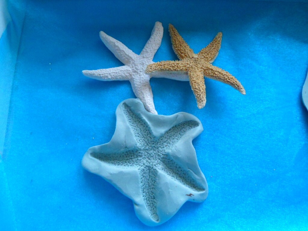 starfish silicone mold exact reproduction for fimo wepam