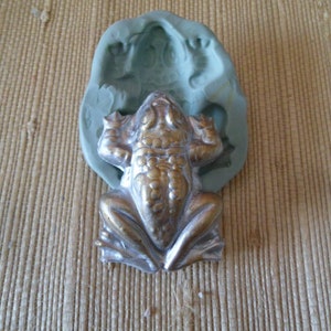 Könnte beinhalten: Eine goldfarbene Froschfigur, die in einer grünen Silikonform sitzt. Die Form ist wie ein Frosch mit erhabenen Details geformt.