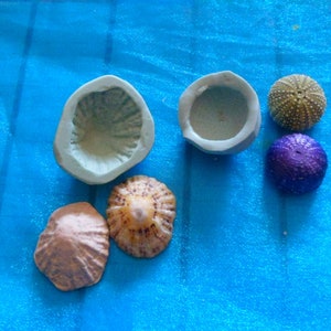 Puede incluir: Una colección de artículos decorativos con temática marina, que incluye un erizo de mar morado, un erizo de mar beige, una concha de mar marrón, una concha de mar beige con un centro marrón y dos moldes de cerámica grises.