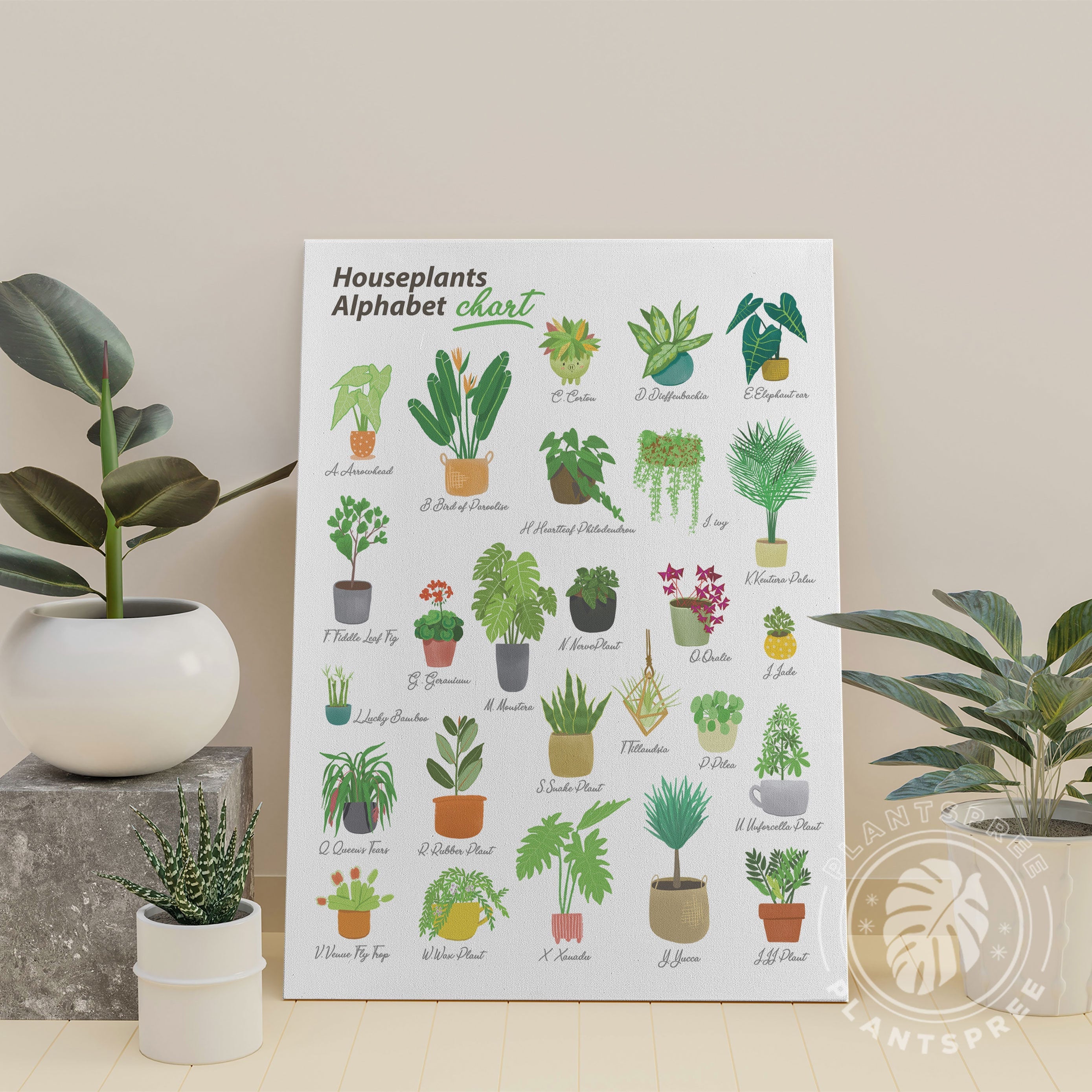 Houseplant Alphabet Plant Lady Art Alphabet Print Botanical Etsy