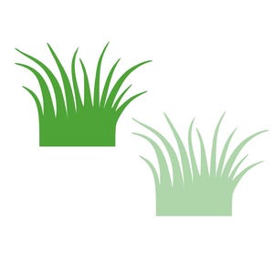 Papiergras Ausschnitte - Papiergras Form, Grasstanzteile, Grass Ausschnitte, Papierklassenzimmerdekor, Papiergrass gestanztes Papier Frühling, Papierformen