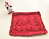PDF Pattern Three Gnomes Dishcloth Washcloth