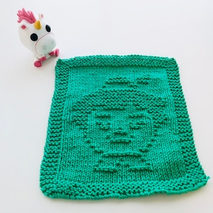 May include: A green knitted dishcloth with a simple geometric design.