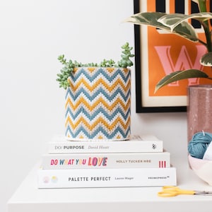 May include: A white planter with a chevron pattern in blue and yellow is filled with a succulent plant. The planter is sitting on top of three books with the titles "DO/ PURPOSE", "DO WHAT YOU LOVE", and "PALETTE PERFECT".