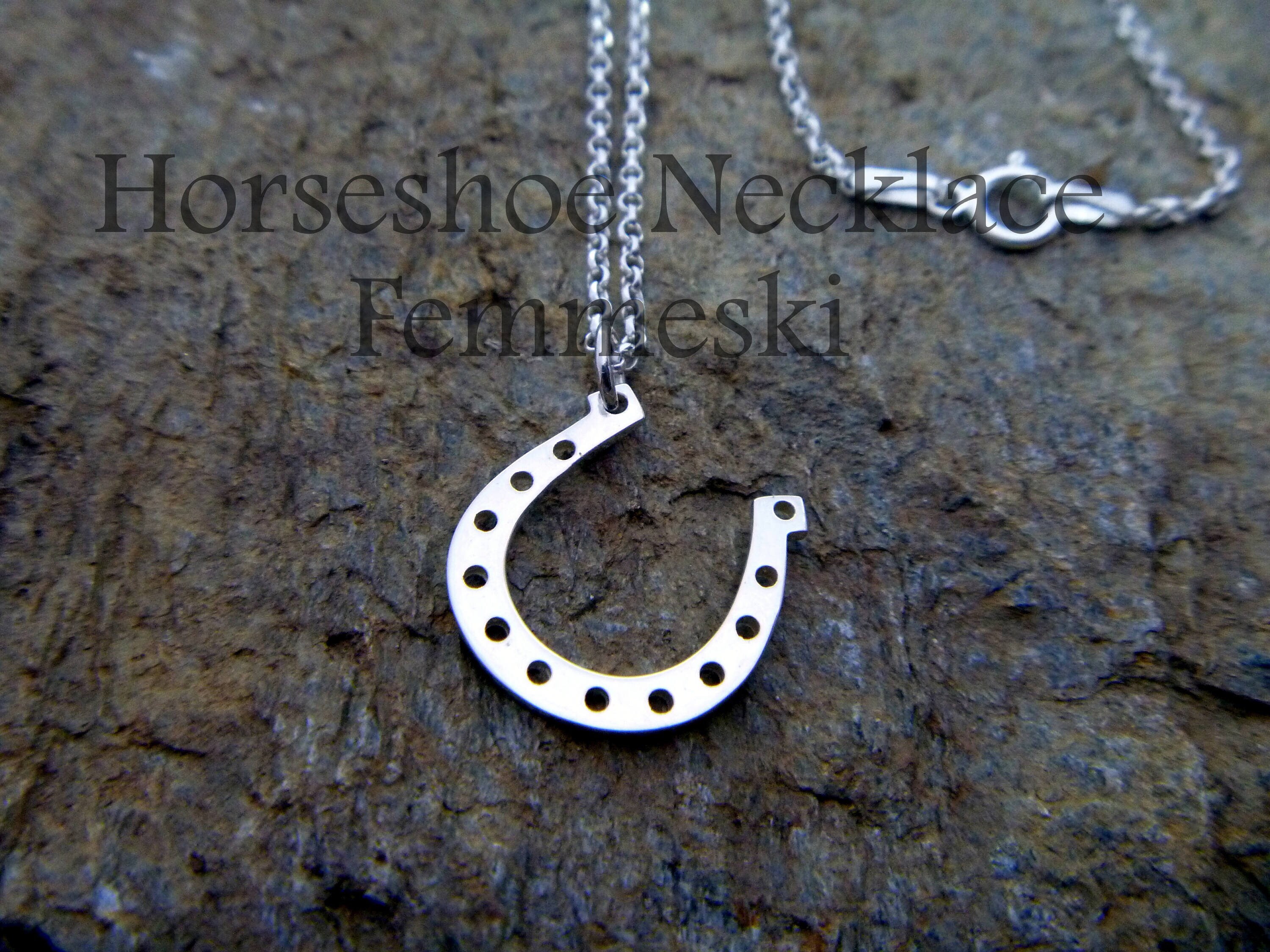 Kay Jeweler's Horseshoe Necklace, Sterling Silver & Diamonds, 1/8 cara –  Aiken Tack Exchange