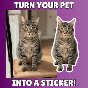 Custom Pet Sticker, Die Cut Vinyl Waterproof, Personalized Gift, Custom Dog Sticker, Custom Cat Sticker, Water Bottle Sticker, Pet Photo