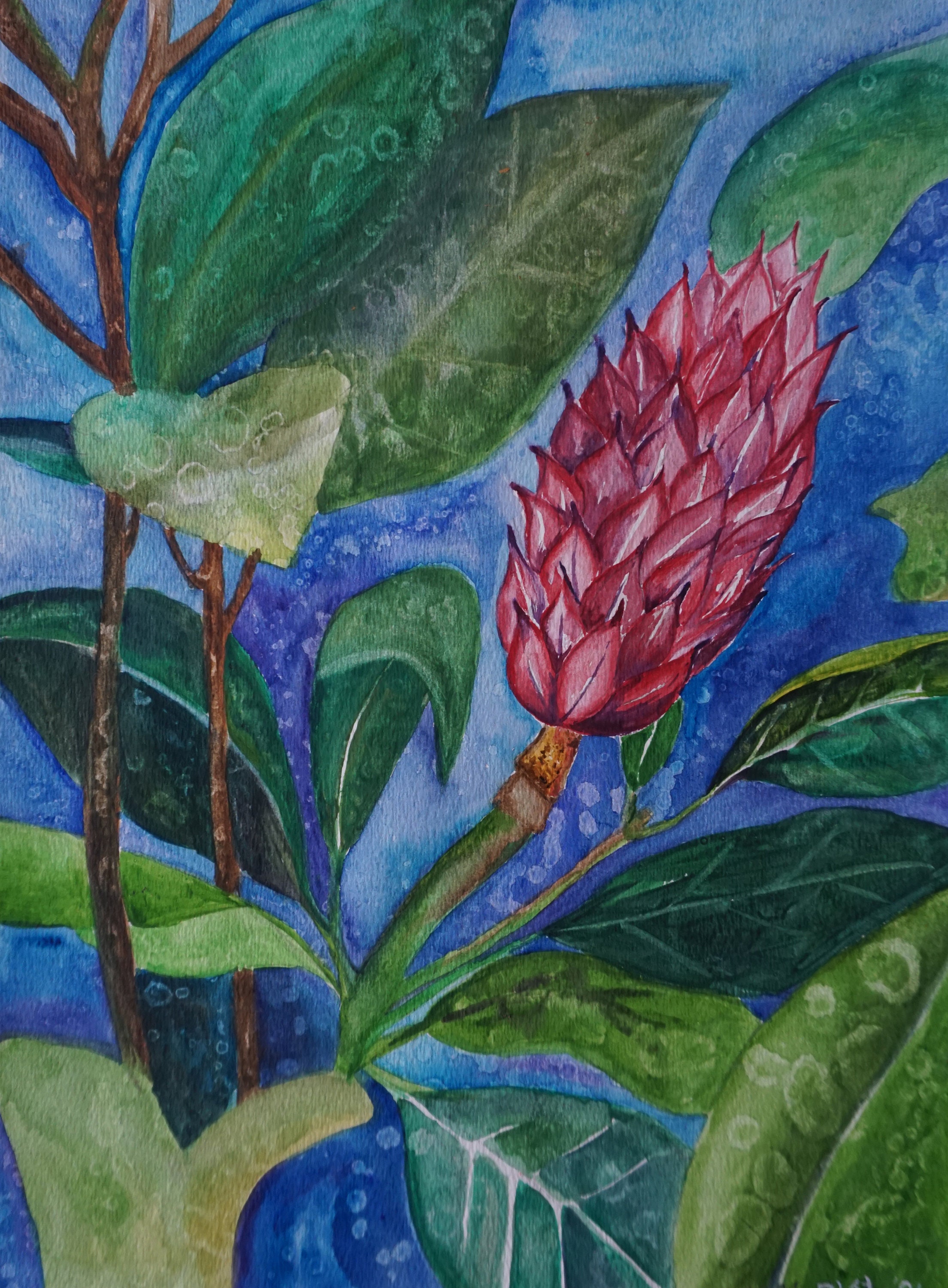 Download Print Of Original Watercolor Pink Succulent Rainforest Flower Painting Raining Forest Modern Art Home Decor Office Decor Art Gift