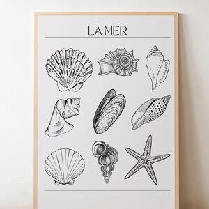 Le Mer Küche Druck | Poster Muscheln | Vintage Kunst | Schlafzimmer Strand Kunstwerk | Minimaler Innenraum | Designer Bleistift Zeichnung |
