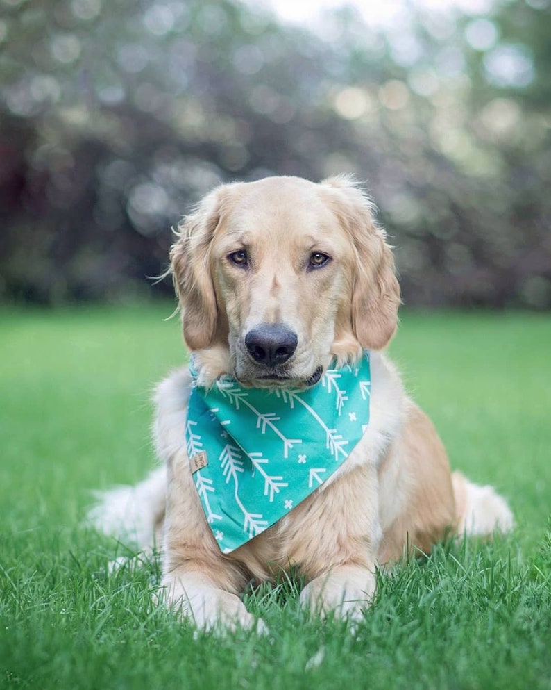 The Prickly Pear bandana