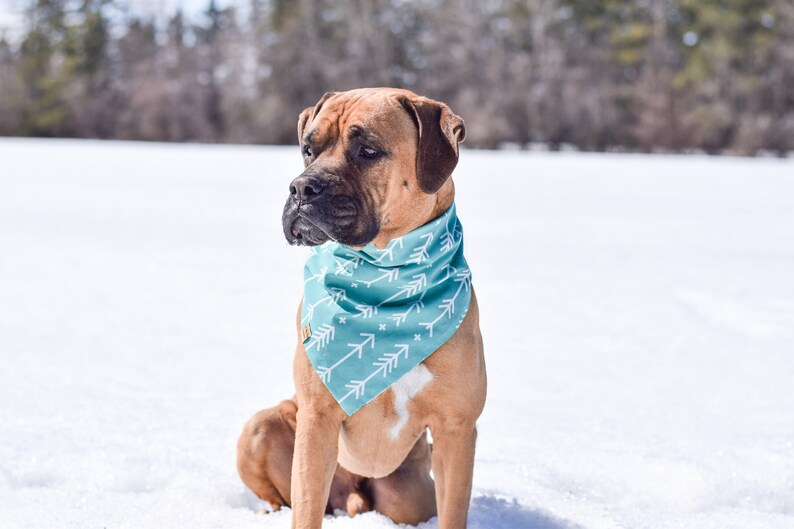 The Prickly Pear bandana