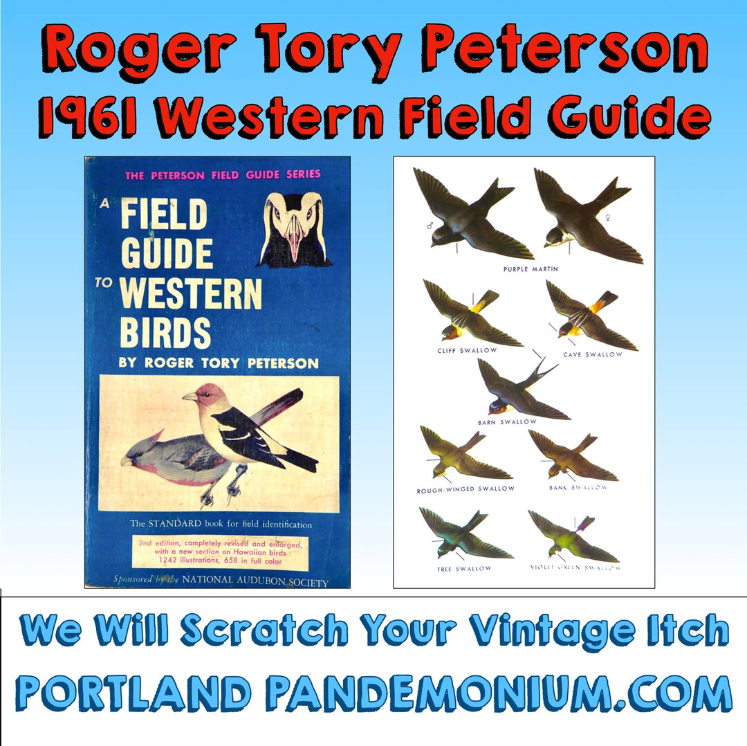 Vintage Peterson Field Guide to Western Birds, Roger Tory Peterson, 1961  Revised Editon, All New Illustrations, Plus Canada, Alaska, Hawaii -   Denmark