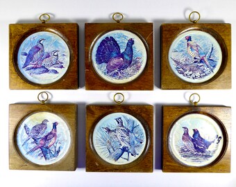 Vintage Game Bird Coasters, 4" Sq Recessed Glass Well, Brass Hangers, Male and Female Pairs, Bob White, Grouse, Pheasant, Partridge, Quail,