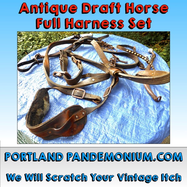 Horse Harness Etsy
