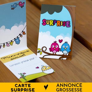 Lot de 5 petites cartes Surprise pour Annonce grossesse, Mini nous arrive, Livraison prévue pour…, à compléter, carte cadeau pliée 2 volets