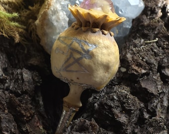 Rest Peacefully Poppyseed Herb Pod