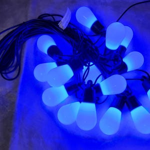 May include: A string of blue LED lights with a black cord. The lights are shaped like traditional light bulbs.