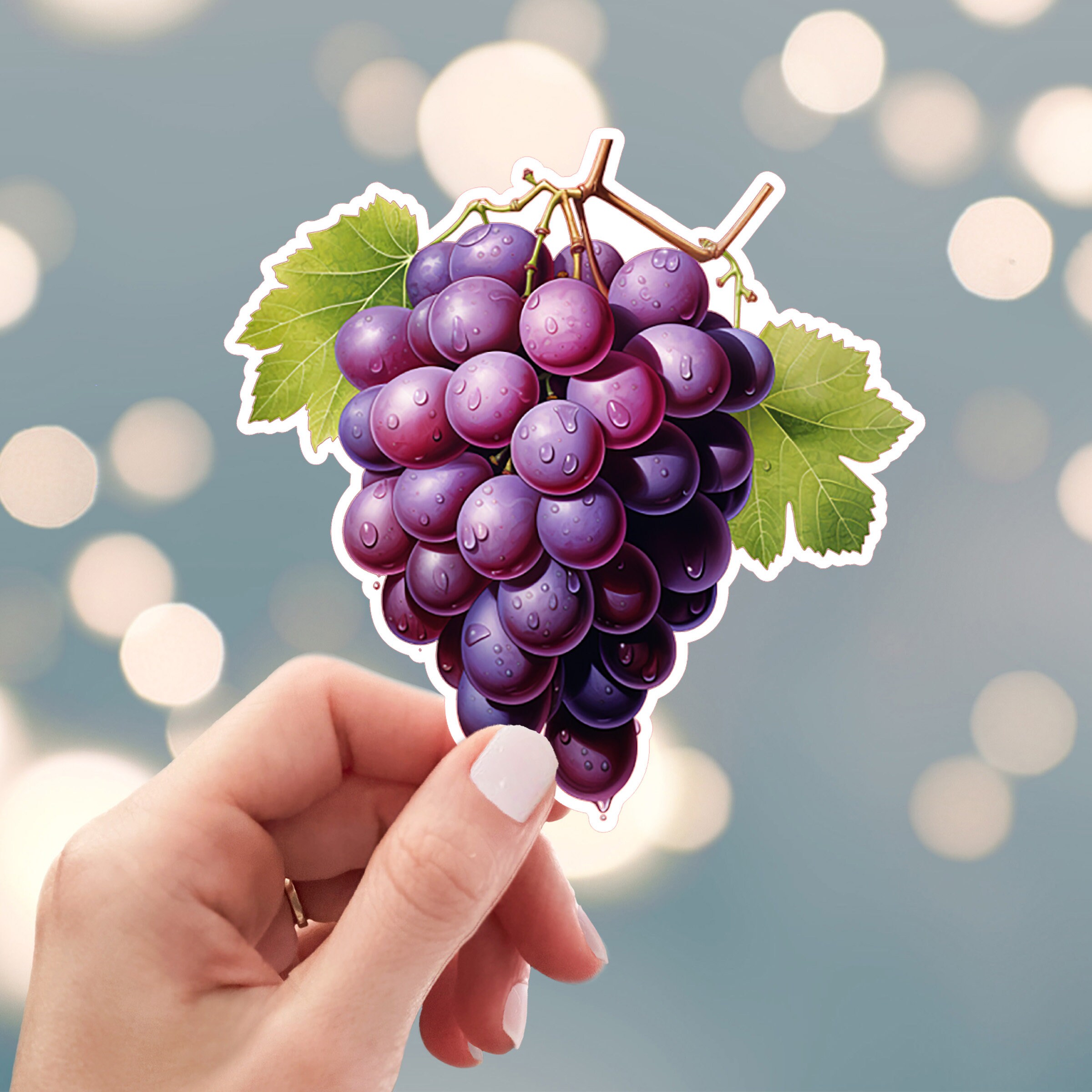 Grape Vine Sticker, Purple Grapes Sticker, Concord Grapes Sticker ...