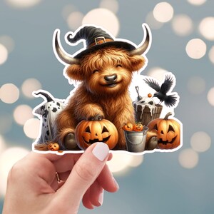 Highland Cow Sticker, Halloween Cow Sticker, Fall Pumpkin Patch Sticker, Witch Sticker, Water Bottle Sticker (61e)