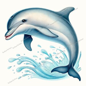 May include: A digital illustration of a dolphin leaping out of the water. The dolphin is a light blue color with darker blue accents, and the water is depicted with splashes and waves. The image has a clean, white background.