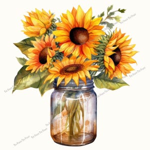 May include: A watercolor illustration of a bouquet of sunflowers in a mason jar. The sunflowers have bright yellow petals and dark brown centers. The jar is clear with a metal lid, and the background is white.