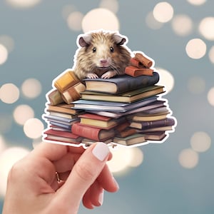 May include: A brown and white guinea pig sits on top of a stack of vintage books. The books are stacked high and are of various sizes and colors. The guinea pig is looking at the camera.