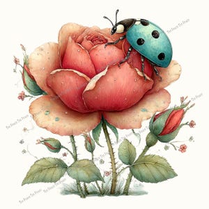 May include: A watercolor illustration of a large, pink rose with a light blue ladybug with black spots. The rose has water droplets on its petals. Green leaves and stems with thorns surround the flower. The text "Tee Peace Tee Peace" is repeated around the image.