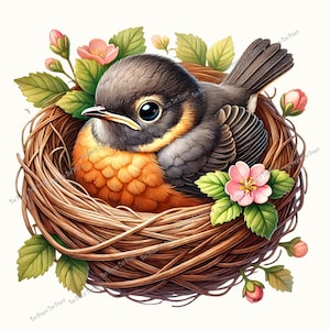 May include: A detailed illustration of a robin bird nestled in a woven brown nest. The bird has a gray head, orange breast, and brown wings. Pink flowers and green leaves surround the nest, creating a vibrant and natural scene.