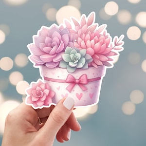 May include: A pink and green succulent plant arrangement in a white pot with a pink ribbon and hearts. The pot is decorated with pink hearts.