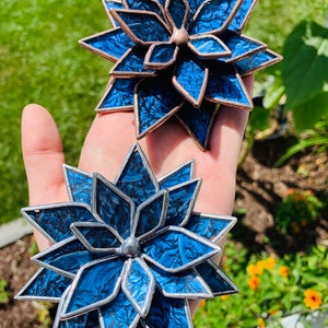 Blaue Van Gogh Buntglas Sukkulente