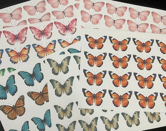 Butterfly Ephemera