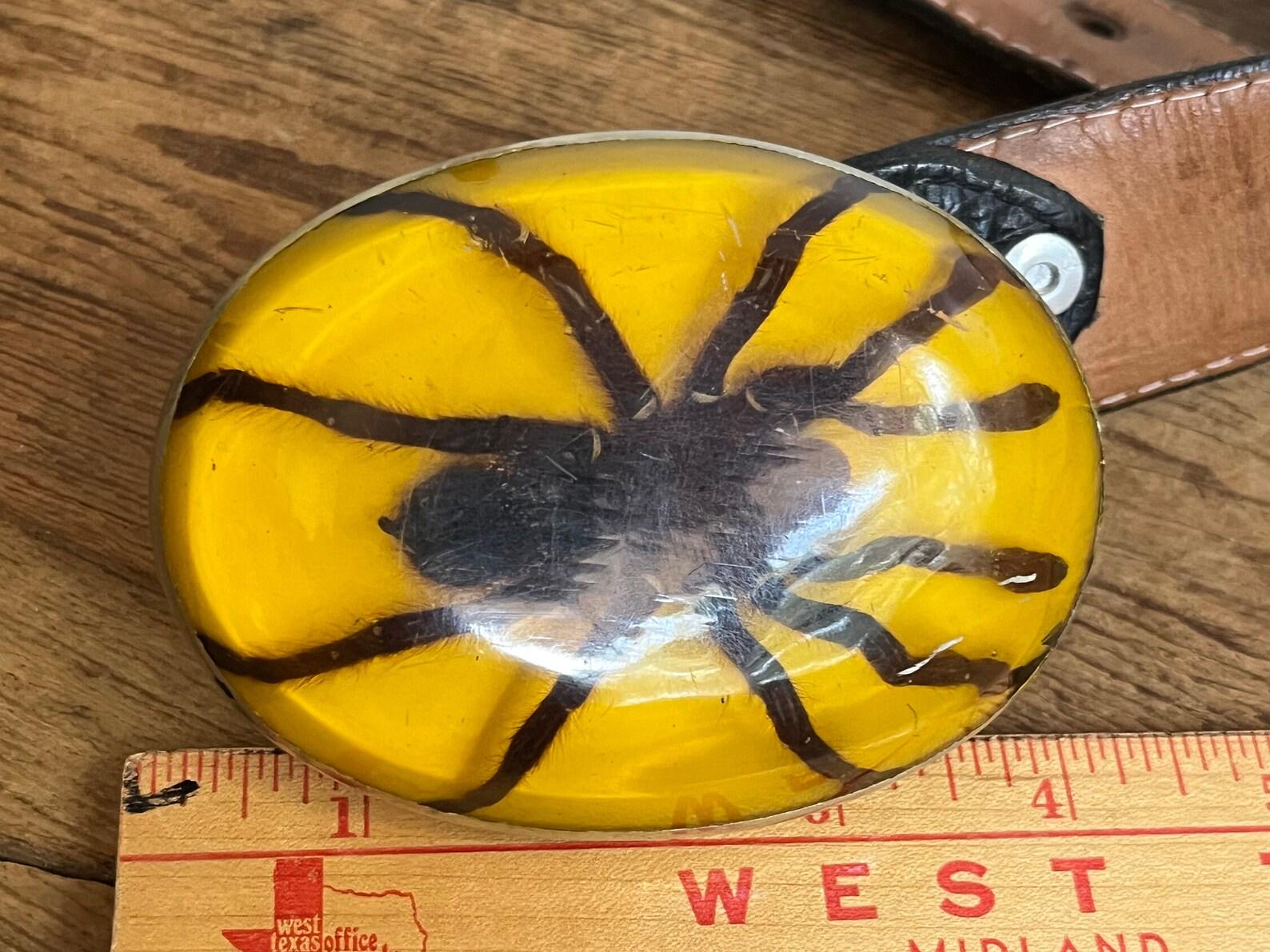 Vintage Real Tarantula Spider Belt Buckle Western Cowboy Cowgirl Rodeo ...