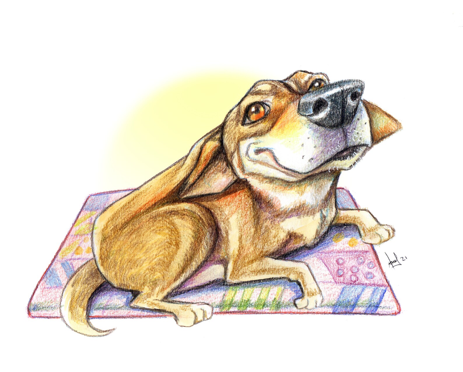 PET CARICATURE Custom Pet Caricature Handmade Pencil Drawing - Etsy