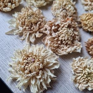 Op de afbeelding: Een verzameling gedroogde witte en crèmekleurige bloemen. De bloemen zijn gerangschikt op een licht houten oppervlak.