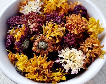 Fleurs de chrysanthèmes séchées Bio 10g multicolore