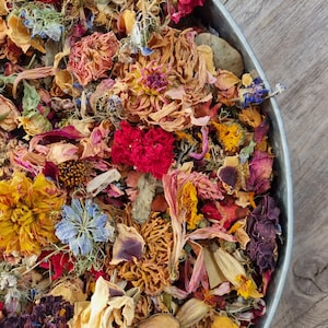 Peut inclure: Une collection de fleurs séchées dans un plateau métallique rond, présentant un mélange de pétales et de fleurs rouges, jaunes, orange, bleues et violettes. L'assortiment comprend diverses textures d'éléments botaniques séchés, dont des têtes de fleurs entières.