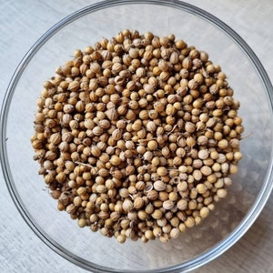Organic coriander seeds