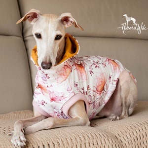 Spring blossom hoodie Vest long jumper Italian Greyhound clothing