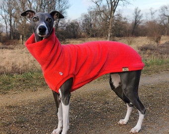 May include: A grey and white whippet dog wearing a red fleece dog sweater. The dog is standing on a dirt path with trees in the background.