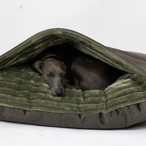 May include: A gray dog rests inside a cozy, olive green and brown pet bed. The bed has a plush, textured interior and a hooded design, providing a comfortable and secure space for the dog to sleep. The bed is designed for small to medium sized dogs.