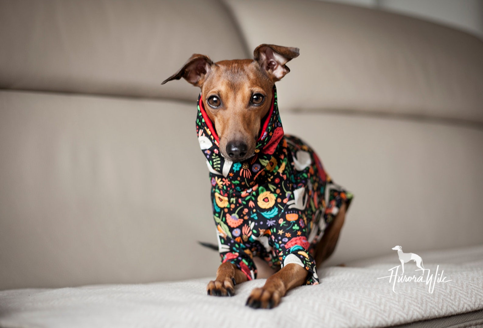 W4 Squirrels Vest Long Jumper Greyhound Clothing Etsy