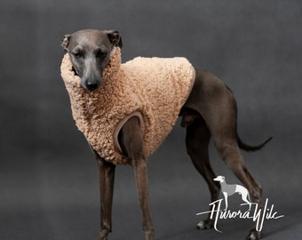May include: A beige, textured, fleece-like dog sweater with a high collar and ribbed arm openings. The garment is worn by a grey dog. A white logo featuring a dog silhouette and the text Aurora Wile is visible in the bottom right corner.