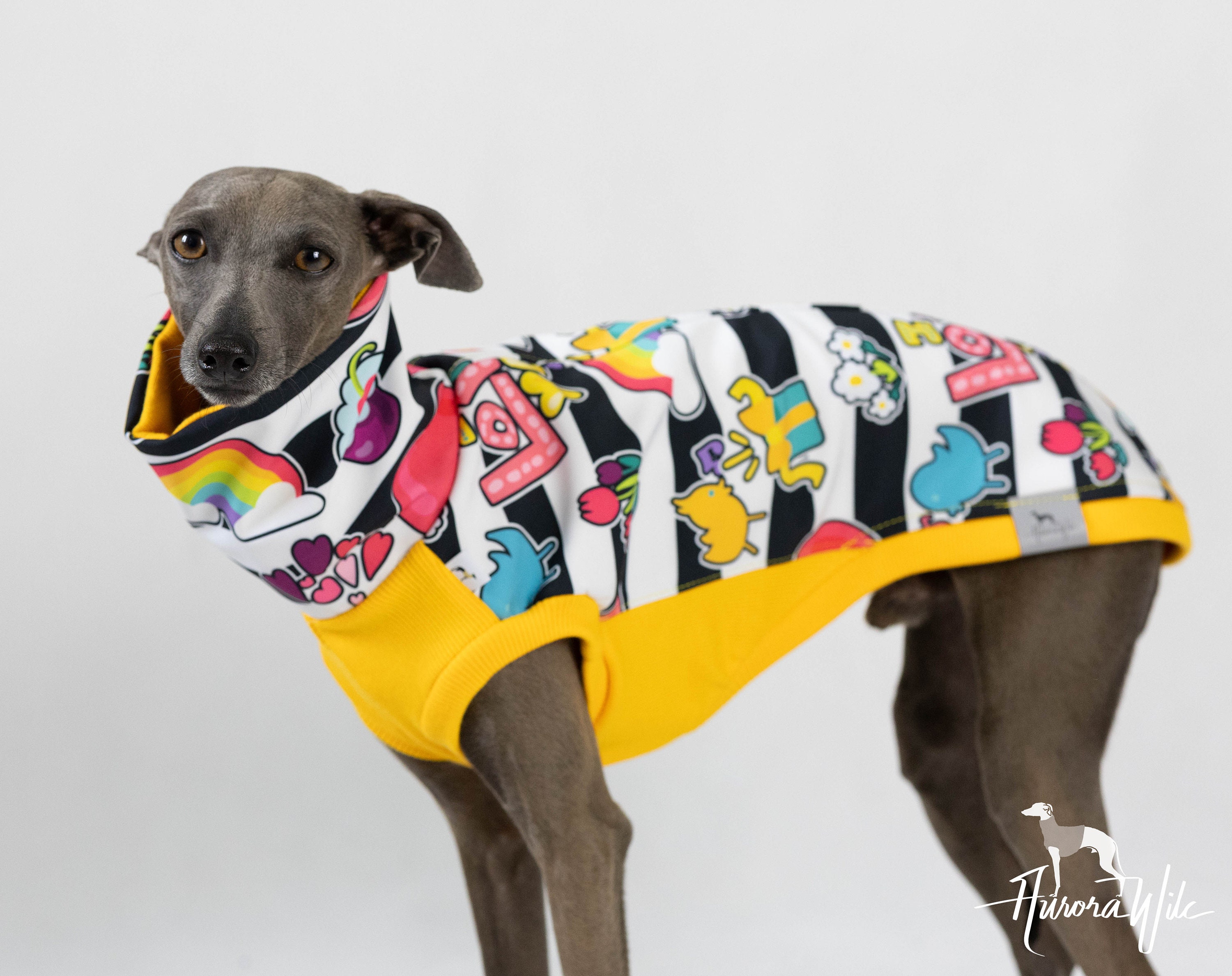 Graffiti Dog Softshell Jacket: Waterproof Windproof Fleece - Etsy
