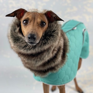 S1 turquoise winter coat with fur