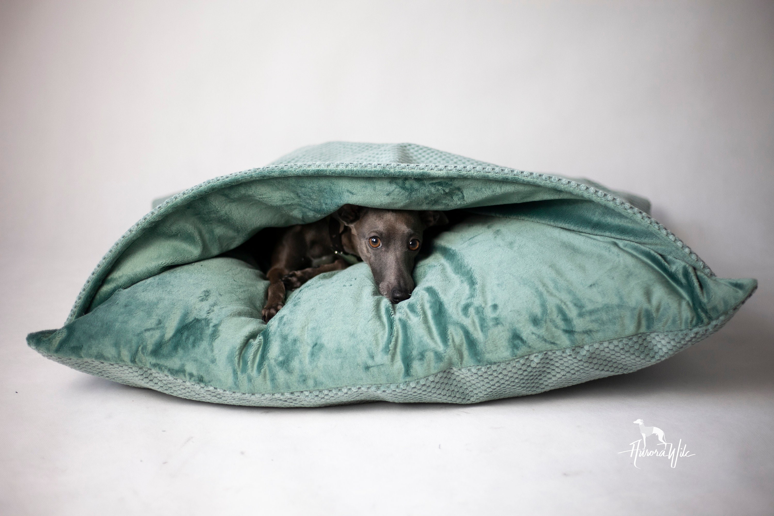 Teal snuggly bedding