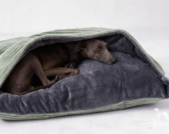 Puede incluir: Una cama para perros gris y verde con un forro suave y mullido. Un perro pequeño gris está acurrucado dentro de la cama.