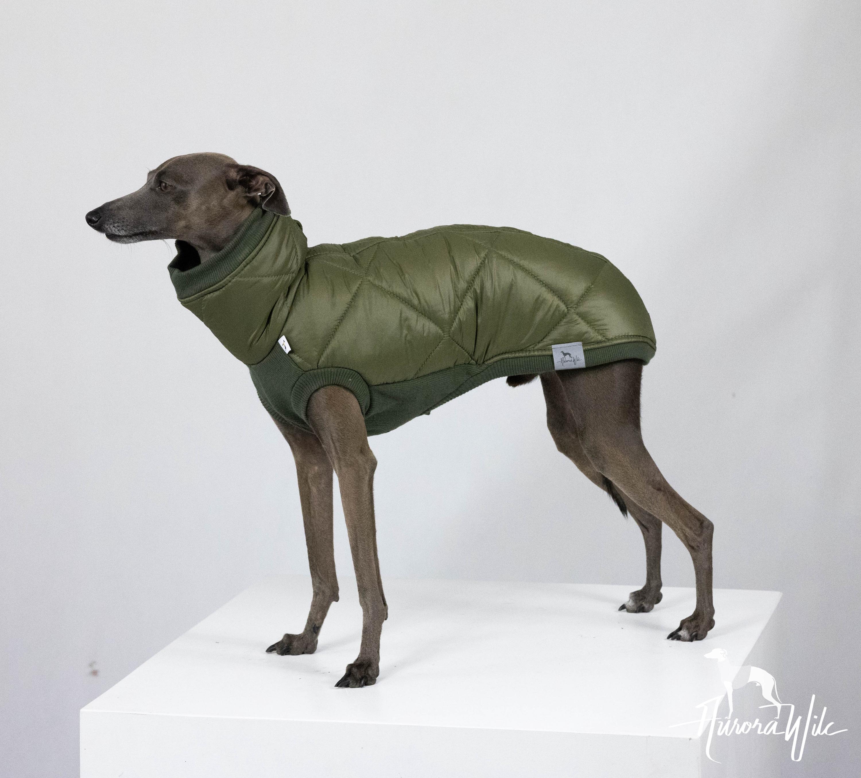 Sweat à Capuche Dinosaure Pour Chat Et Chien - En Velours Corail Doux, Queue Amovible, Tailles XS à XL, Pour Déguisement Halloween, Fêtes, Photos